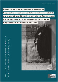 Rapport_intermediaire_Pasche Gossin_Donzé